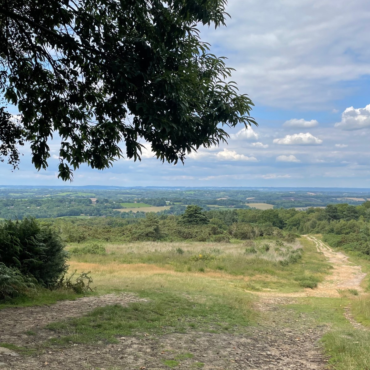 Exploring the world of Winnie The Pooh in East&nbsp;Sussex