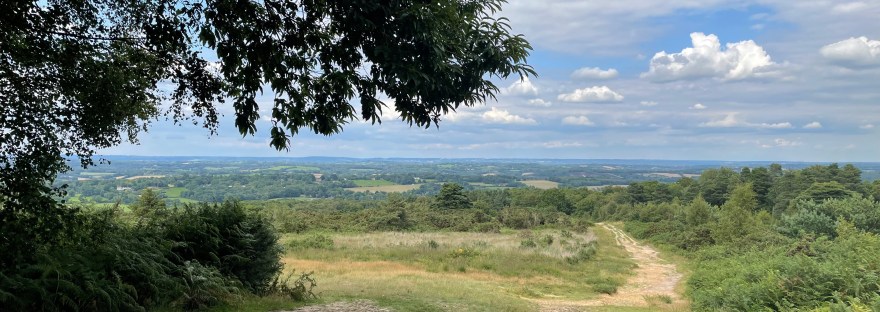 View Over The Hundred Acre Wood