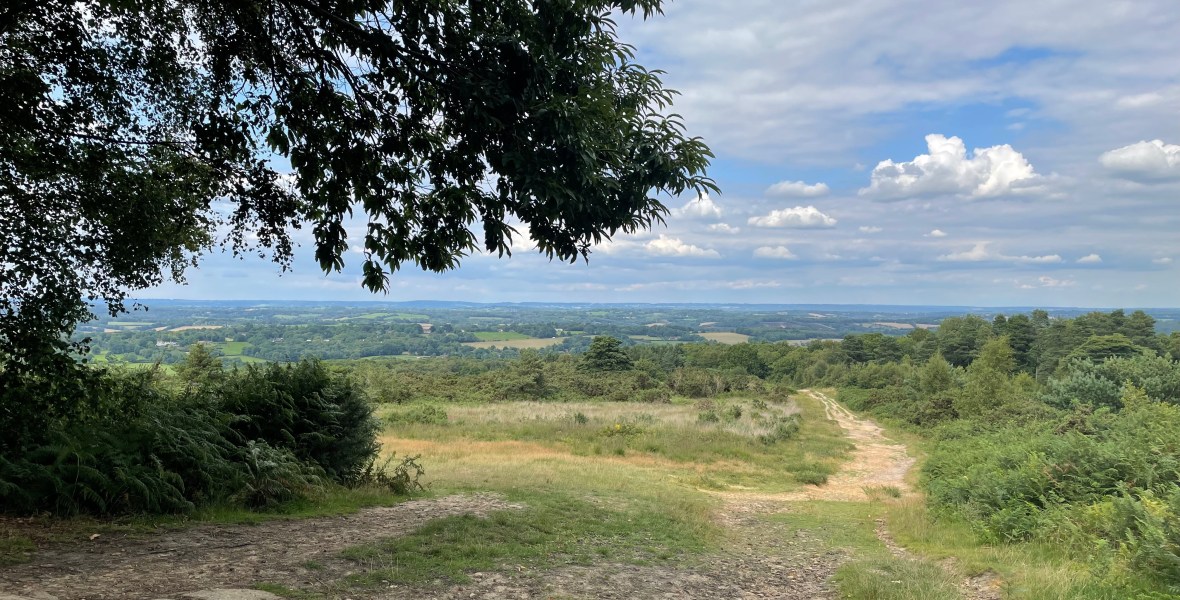 View Over The Hundred Acre Wood