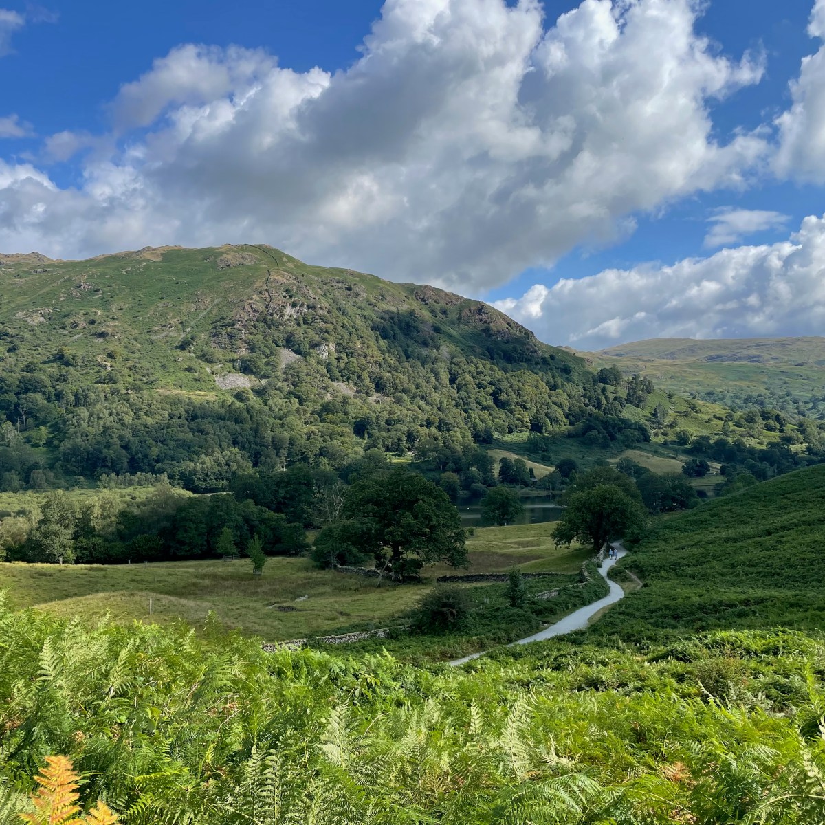 Hiking around Rydal Water with&nbsp;kids